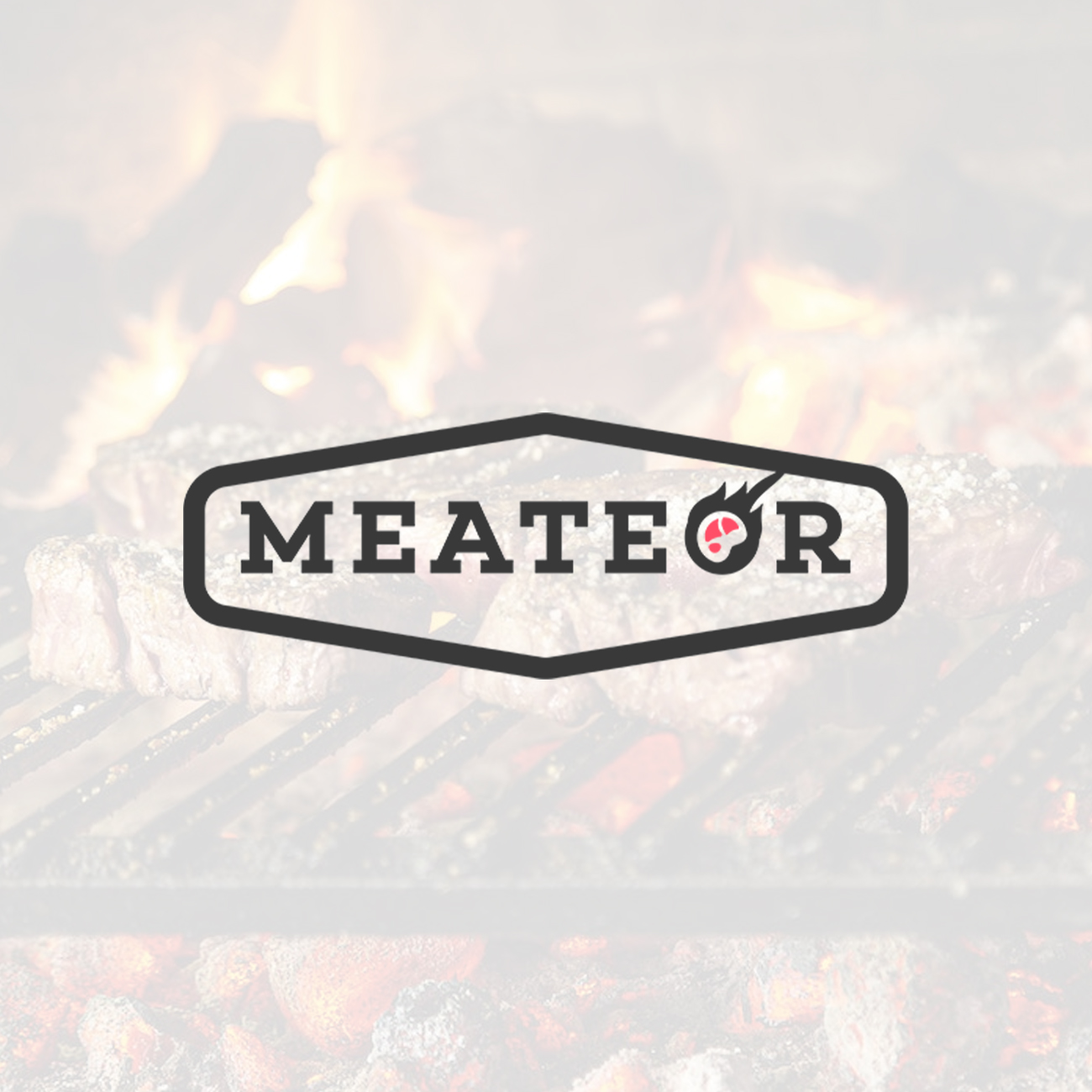 Referenzen Meateor eBay Design